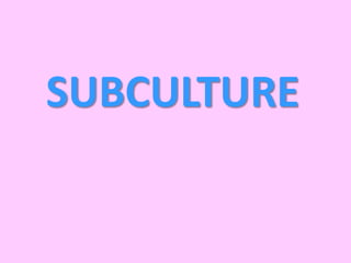 SUBCULTURE
 