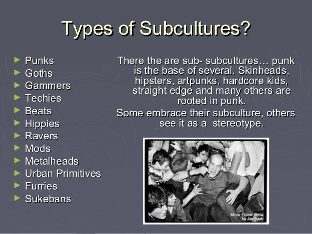 Which Of The Following Is An Example Of A Subculture Subculture's In The Library