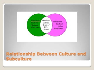 Relationship Between Culture and
Subculture

 
