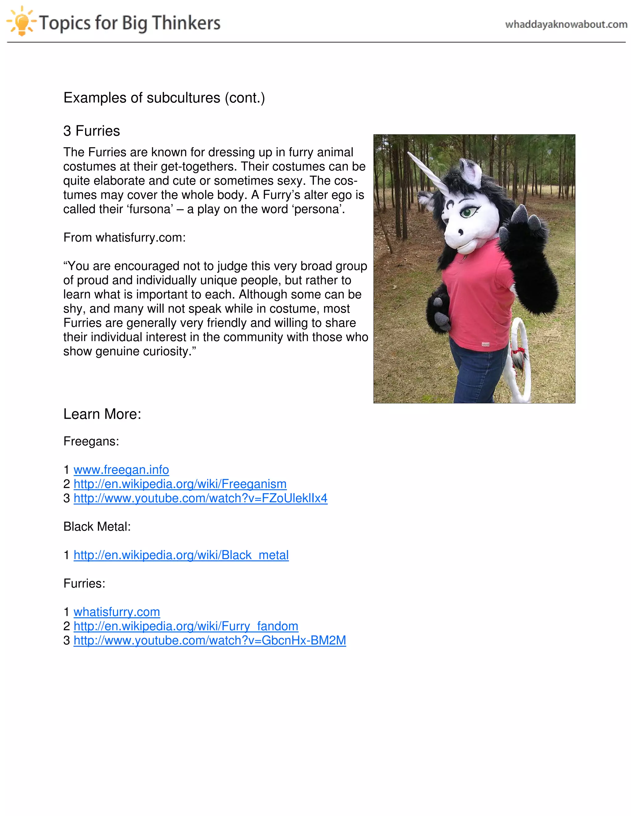 Examples of subcultures (cont.)
3 Furries
The Furries are known for dressing up in furry animal
costumes at their get-togethers. Their costumes can be
quite elaborate and cute or sometimes sexy. The cos-
tumes may cover the whole body. A Furry’s alter ego is
called their ‘fursona’ – a play on the word ‘persona’.
From whatisfurry.com:
“You are encouraged not to judge this very broad group
of proud and individually unique people, but rather to
learn what is important to each. Although some can be
shy, and many will not speak while in costume, most
Furries are generally very friendly and willing to share
their individual interest in the community with those who
show genuine curiosity.”
Learn More:
Freegans:
1 www.freegan.info
2 http://en.wikipedia.org/wiki/Freeganism
3 http://www.youtube.com/watch?v=FZoUleklIx4
Black Metal:
1 http://en.wikipedia.org/wiki/Black_metal
Furries:
1 whatisfurry.com
2 http://en.wikipedia.org/wiki/Furry_fandom
3 http://www.youtube.com/watch?v=GbcnHx-BM2M
 