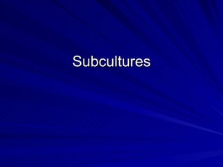 Subcultures 
