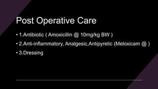 Post Operative Care
• 1.Antibiotic ( Amoxicillin @ 10mg/kg BW )
• 2.Anti-inflammatory, Analgesic,Antipyretic (Meloxicam @ )
• 3.Dressing
 