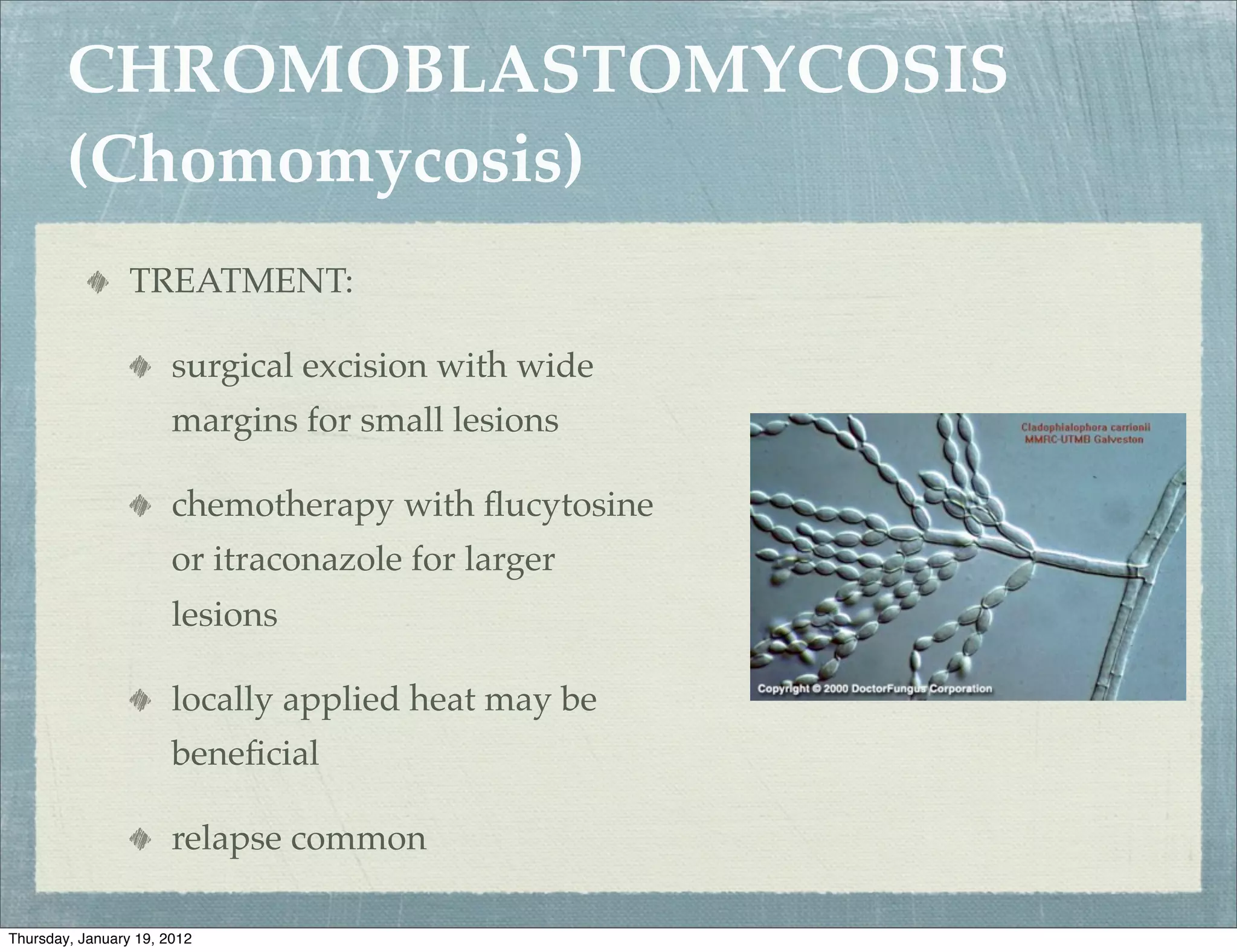 CHROMOBLASTOMYCOSIS
        (Chomomycosis)
                 TREATMENT:

                       surgical excision with wide
                       margins for small lesions

                       chemotherapy with ﬂucytosine
                       or itraconazole for larger
                       lesions

                       locally applied heat may be
                       beneﬁcial

                       relapse common

Thursday, January 19, 2012
 