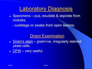 smsmc micro
Laboratory Diagnosis
 Specimens – pus, exudate & aspirate from
nodules.
- curettage or swabs from open lesions.
Direct Examination
 Gram’s stain – gram+ve, irregularly stained
yeast cells.
 CFW – very useful.
 
