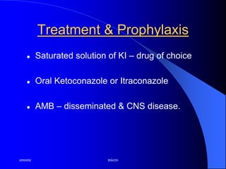 smsmc micro
Treatment & Prophylaxis
 Saturated solution of KI – drug of choice
 Oral Ketoconazole or Itraconazole
 AMB – disseminated & CNS disease.
 
