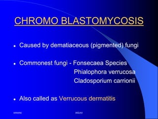 smsmc micro
CHROMO BLASTOMYCOSIS
 Caused by dematiaceous (pigmented) fungi
 Commonest fungi - Fonsecaea Species
Phialophora verrucosa
Cladosporium carrionii
 Also called as Verrucous dermatitis
 