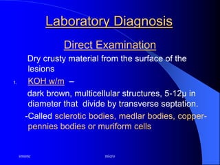 smsmc micro
Laboratory Diagnosis
Direct Examination
Dry crusty material from the surface of the
lesions
1. KOH w/m –
dark brown, multicellular structures, 5-12μ in
diameter that divide by transverse septation.
-Called sclerotic bodies, medlar bodies, copper-
pennies bodies or muriform cells
 