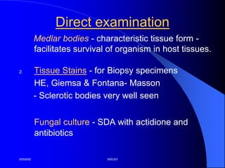 smsmc micro
Direct examination
Medlar bodies - characteristic tissue form -
facilitates survival of organism in host tissues.
2. Tissue Stains - for Biopsy specimens
HE, Giemsa & Fontana- Masson
- Sclerotic bodies very well seen
Fungal culture - SDA with actidione and
antibiotics
 
