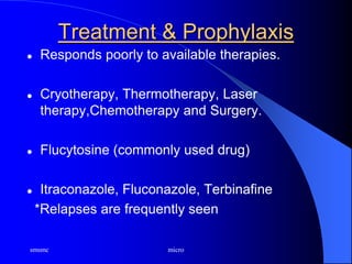 smsmc micro
Treatment & Prophylaxis
 Responds poorly to available therapies.
 Cryotherapy, Thermotherapy, Laser
therapy,Chemotherapy and Surgery.
 Flucytosine (commonly used drug)
 Itraconazole, Fluconazole, Terbinafine
*Relapses are frequently seen
 