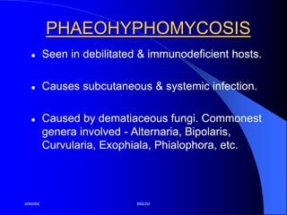 smsmc micro
PHAEOHYPHOMYCOSIS
 Seen in debilitated & immunodeficient hosts.
 Causes subcutaneous & systemic infection.
 Caused by dematiaceous fungi. Commonest
genera involved - Alternaria, Bipolaris,
Curvularia, Exophiala, Phialophora, etc.
 