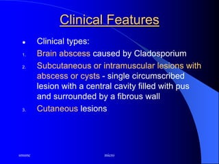 smsmc micro
Clinical Features
 Clinical types:
1. Brain abscess caused by Cladosporium
2. Subcutaneous or intramuscular lesions with
abscess or cysts - single circumscribed
lesion with a central cavity filled with pus
and surrounded by a fibrous wall
3. Cutaneous lesions
 