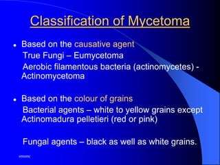 smsmc
Classification of Mycetoma
 Based on the causative agent
True Fungi – Eumycetoma
Aerobic filamentous bacteria (actinomycetes) -
Actinomycetoma
 Based on the colour of grains
Bacterial agents – white to yellow grains except
Actinomadura pelletieri (red or pink)
Fungal agents – black as well as white grains.
 