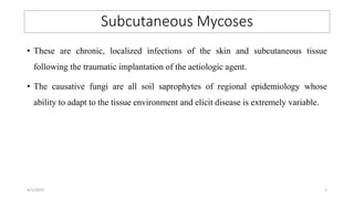 Subcutaneous Mycoses
• These are chronic, localized infections of the skin and subcutaneous tissue
following the traumatic implantation of the aetiologic agent.
• The causative fungi are all soil saprophytes of regional epidemiology whose
ability to adapt to the tissue environment and elicit disease is extremely variable.
4/1/2023 1
 