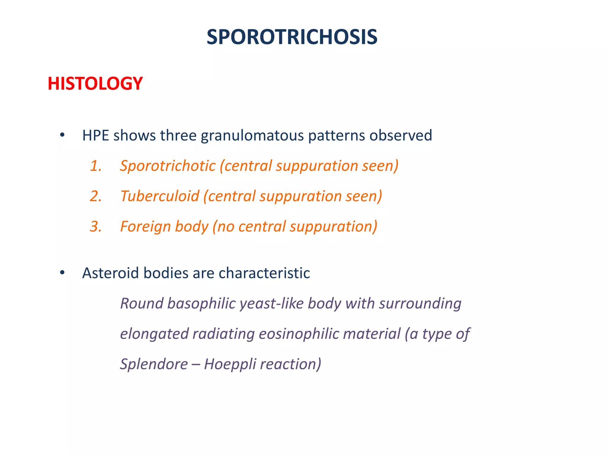 SPOROTRICHOSIS
HISTOLOGY
• HPE shows three granulomatous patterns observed
1. Sporotrichotic (central suppuration seen)
2. Tuberculoid (central suppuration seen)
3. Foreign body (no central suppuration)
• Asteroid bodies are characteristic
Round basophilic yeast-like body with surrounding
elongated radiating eosinophilic material (a type of
Splendore – Hoeppli reaction)
 