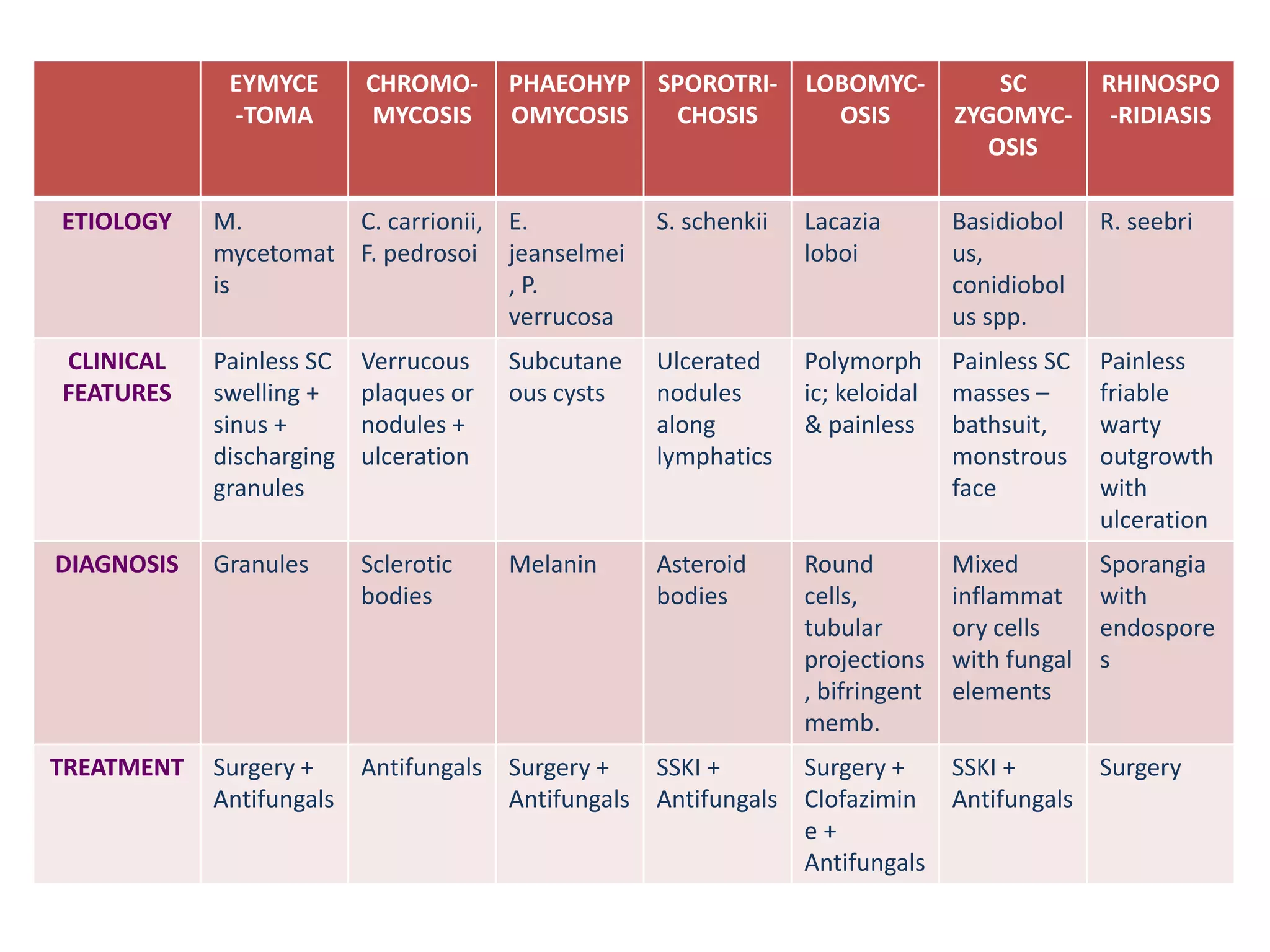 EYMYCE
-TOMA
CHROMO-
MYCOSIS
PHAEOHYP
OMYCOSIS
SPOROTRI-
CHOSIS
LOBOMYC-
OSIS
SC
ZYGOMYC-
OSIS
RHINOSPO
-RIDIASIS
ETIOLOGY M.
mycetomat
is
C. carrionii,
F. pedrosoi
E.
jeanselmei
, P.
verrucosa
S. schenkii Lacazia
loboi
Basidiobol
us,
conidiobol
us spp.
R. seebri
CLINICAL
FEATURES
Painless SC
swelling +
sinus +
discharging
granules
Verrucous
plaques or
nodules +
ulceration
Subcutane
ous cysts
Ulcerated
nodules
along
lymphatics
Polymorph
ic; keloidal
& painless
Painless SC
masses –
bathsuit,
monstrous
face
Painless
friable
warty
outgrowth
with
ulceration
DIAGNOSIS Granules Sclerotic
bodies
Melanin Asteroid
bodies
Round
cells,
tubular
projections
, bifringent
memb.
Mixed
inflammat
ory cells
with fungal
elements
Sporangia
with
endospore
s
TREATMENT Surgery +
Antifungals
Antifungals Surgery +
Antifungals
SSKI +
Antifungals
Surgery +
Clofazimin
e +
Antifungals
SSKI +
Antifungals
Surgery
 