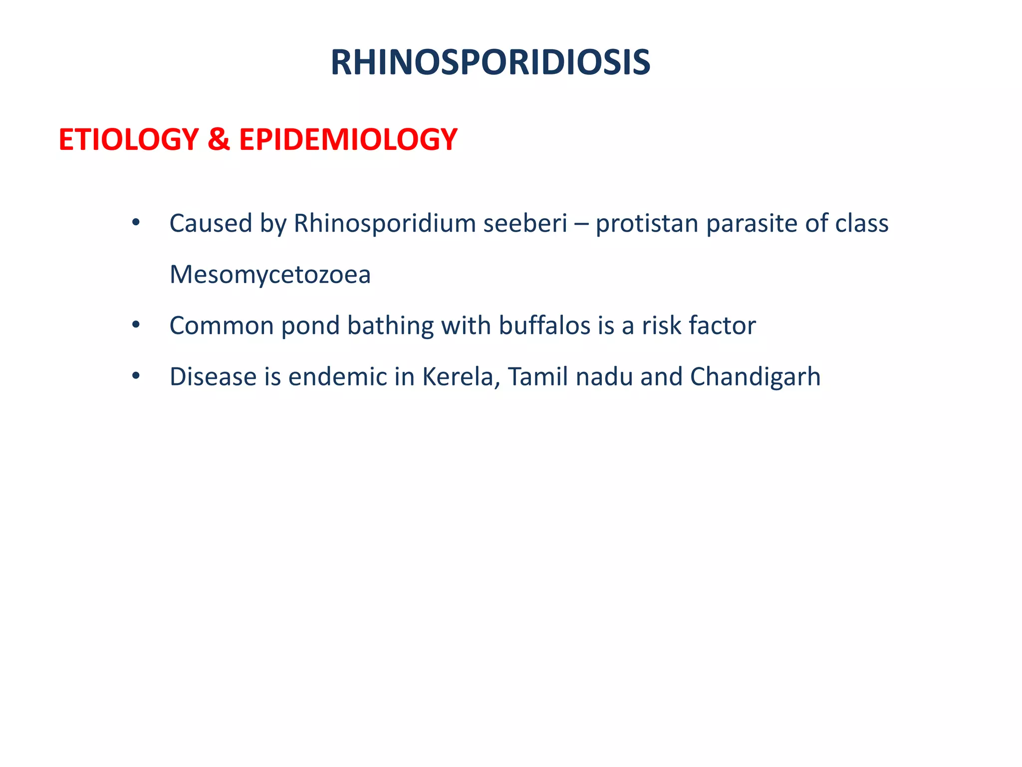 RHINOSPORIDIOSIS
ETIOLOGY & EPIDEMIOLOGY
• Caused by Rhinosporidium seeberi – protistan parasite of class
Mesomycetozoea
• Common pond bathing with buffalos is a risk factor
• Disease is endemic in Kerela, Tamil nadu and Chandigarh
 