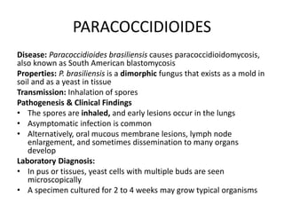 PARACOCCIDIOIDES
Disease: Paracoccidioides brasiliensis causes paracoccidioidomycosis,
also known as South American blastomycosis
Properties: P. brasiliensis is a dimorphic fungus that exists as a mold in
soil and as a yeast in tissue
Transmission: Inhalation of spores
Pathogenesis & Clinical Findings
• The spores are inhaled, and early lesions occur in the lungs
• Asymptomatic infection is common
• Alternatively, oral mucous membrane lesions, lymph node
enlargement, and sometimes dissemination to many organs
develop
Laboratory Diagnosis:
• In pus or tissues, yeast cells with multiple buds are seen
microscopically
• A specimen cultured for 2 to 4 weeks may grow typical organisms
 