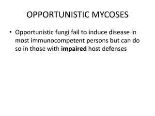 OPPORTUNISTIC MYCOSES
• Opportunistic fungi fail to induce disease in
most immunocompetent persons but can do
so in those with impaired host defenses
 