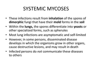 SYSTEMIC MYCOSES
• These infections result from inhalation of the spores of
dimorphic fungi that have their mold forms in the soil
• Within the lungs, the spores differentiate into yeasts or
other specialized forms, such as spherules
• Most lung infections are asymptomatic and self-limited
• However, in some persons, disseminated disease
develops in which the organisms grow in other organs,
cause destructive lesions, and may result in death
• Infected persons do not communicate these diseases
to others
 