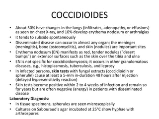 COCCIDIOIDES
• About 50% have changes in the lungs (infiltrates, adenopathy, or effusions)
as seen on chest X-ray, and 10% develop erythema nodosum or arthralgias
• it tends to subside spontaneously
• Disseminated disease can occur in almost any organ; the meninges
(meningitis), bone (osteomyelitis), and skin (nodules) are important sites
• Erythema nodosum (EN) manifests as red, tender nodules ("desert
bumps") on extensor surfaces such as the skin over the tibia and ulna
• EN is not specific for coccidioidomycosis; it occurs in other granulomatous
diseases, e.g., histoplasmosis, tuberculosis, and leprosy
• In infected persons, skin tests with fungal extracts (coccidioidin or
spherulin) cause at least a 5-mm in-duration 48 hours after injection
(delayed hypersensitivity reaction)
• Skin tests become positive within 2 to 4 weeks of infection and remain so
for years but are often negative (anergy) in patients with disseminated
disease
Laboratory Diagnosis:
• In tissue specimens, spherules are seen microscopically
• Cultures on Sabouraud's agar incubated at 25°C show hyphae with
arthrospores
 