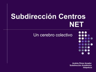 Subdirección Centros NET  Un cerebro colectivo  