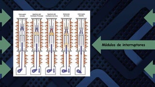 Módulos de interruptores
 