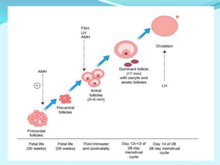 Male and Female Subfertility | PPTX