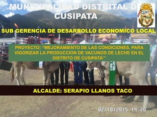 MUNICIPALIDAD DISTRITAL DE
CUSIPATA
SUB GERENCIA DE DESARROLLO ECONOMICO LOCAL
PROYECTO: “MEJORAMIENTO DE LAS CONDICIONES, PARA
VIGORIZAR LA PRODUCCION DE VACUNOS DE LECHE EN EL
DISTRITO DE CUSIPATA’”
ALCALDE: SERAPIO LLANOS TACO
 