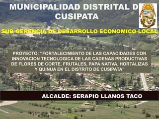 MUNICIPALIDAD DISTRITAL DE
CUSIPATA
SUB GERENCIA DE DESARROLLO ECONOMICO LOCAL
PROYECTO: “FORTALECIMIENTO DE LAS CAPACIDADES CON
INNOVACION TECNOLOGICA DE LAS CADENAS PRODUCTIVAS
DE FLORES DE CORTE, FRUTALES, PAPA NATIVA, HORTALIZAS
Y QUINUA EN EL DISTRITO DE CUSIPATA”
ALCALDE: SERAPIO LLANOS TACO
 