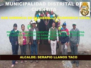 MUNICIPALIDAD DISTRITAL DE
CUSIPATA
SUB GERENCIA DE DESARROLLO ECONOMICO LOCAL
PROYECTO: “FORTALECIMIENTO DE LA CADENA PRODUCTIVA
DE CUYES Y ENGORDE DE GANADO VACUNO EN EL DISTRITO
DE CUSIPATA”
ALCALDE: SERAPIO LLANOS TACO
 