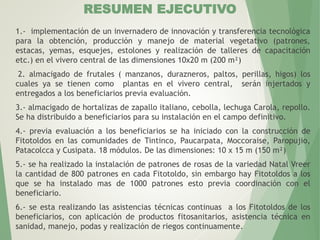 RESUMEN EJECUTIVO
1.- implementación de un invernadero de innovación y transferencia tecnológica
para la obtención, producción y manejo de material vegetativo (patrones,
estacas, yemas, esquejes, estolones y realización de talleres de capacitación
etc.) en el vivero central de las dimensiones 10x20 m (200 m²)
2. almacigado de frutales ( manzanos, durazneros, paltos, perillas, higos) los
cuales ya se tienen como plantas en el vivero central, serán injertados y
entregados a los beneficiarios previa evaluación.
3.- almacigado de hortalizas de zapallo italiano, cebolla, lechuga Carola, repollo.
Se ha distribuido a beneficiarios para su instalación en el campo definitivo.
4.- previa evaluación a los beneficiarios se ha iniciado con la construcción de
Fitotoldos en las comunidades de Tintinco, Paucarpata, Moccoraise, Paropujio,
Patacolcca y Cusipata. 18 módulos. De las dimensiones: 10 x 15 m (150 m²)
5.- se ha realizado la instalación de patrones de rosas de la variedad Natal Vreer
la cantidad de 800 patrones en cada Fitotoldo, sin embargo hay Fitotoldos a los
que se ha instalado mas de 1000 patrones esto previa coordinación con el
beneficiario.
6.- se esta realizando las asistencias técnicas continuas a los Fitotoldos de los
beneficiarios, con aplicación de productos fitosanitarios, asistencia técnica en
sanidad, manejo, podas y realización de riegos continuamente.
 