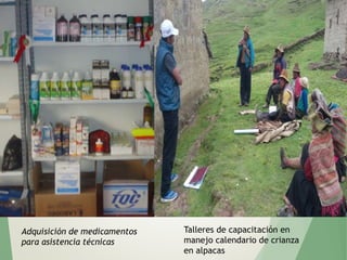 Adquisición de medicamentos
para asistencia técnicas
Talleres de capacitación en
manejo calendario de crianza
en alpacas
 