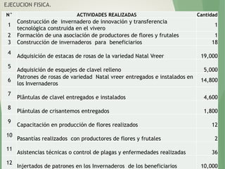 EJECUCION FISICA.
N° ACTIVIDADES REALIZADAS Cantidad
1
Construcción de invernadero de innovación y transferencia
tecnológica construida en el vivero
1
2 Formación de una asociación de productores de flores y frutales 1
3 Construcción de invernaderos para beneficiarios 18
4
Adquisición de estacas de rosas de la variedad Natal Vreer 19,000
5
Adquisición de esquejes de clavel relleno 5,000
6
Patrones de rosas de variedad Natal vreer entregados e instalados en
los Invernaderos
14,800
7
Plântulas de clavel entregados e instalados 4,600
8
Plántulas de crisantemos entregados 1,800
9
Capacitación en producción de flores realizados 12
10
Pasantías realizados con productores de flores y frutales 2
11
Asistencias técnicas o control de plagas y enfermedades realizadas 36
12
Injertados de patrones en los Invernaderos de los beneficiarios 10,000
 