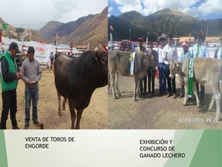 VENTA DE TOROS DE
ENGORDE
EXHIBICIÓN Y
CONCURSO DE
GANADO LECHERO
 