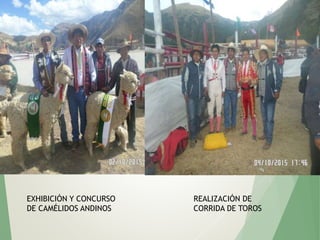 EXHIBICIÓN Y CONCURSO
DE CAMÉLIDOS ANDINOS
REALIZACIÓN DE
CORRIDA DE TOROS
 