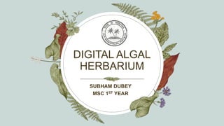 DIGITAL ALGAL
HERBARIUM
SUBHAM DUBEY
MSC 1ST YEAR
 