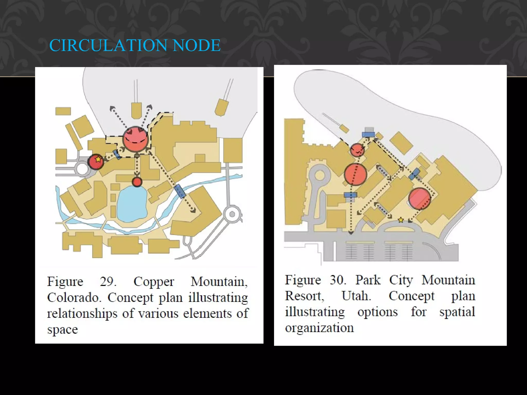 © 2010, Educational Institute
27
CIRCULATION NODE
 