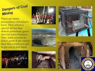 There are many
precautions coal miners
have. They where a
special device that
detects poisonous gases
that can harm humans.
They used canaries to
detect gases if the canary
died that meant you got
to get out of that mine.

 