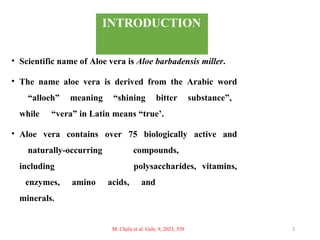 INTRODUCTION
• Scientific name of Aloe vera is Aloe barbadensis miller.
• The name aloe vera is derived from the Arabic word
“alloeh” meaning “shining bitter substance”,
while “vera” in Latin means “true’.
• Aloe vera contains over 75 biologically active and
naturally-occurring compounds,
including polysaccharides, vitamins,
enzymes, amino acids, and
minerals.
3
M. Chelu et al. Gels, 9, 2023, 539
 