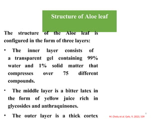 Structure of Aloe leaf
The structure of the Aloe leaf is
configured in the form of three layers:
• The inner layer consists of
a transparent gel containing 99%
water and 1% solid matter that
compresses over 75 different
compounds.
• The middle layer is a bitter latex in
the form of yellow juice rich in
glycosides and anthraquinones.
• The outer layer is a thick cortex
4
M. Chelu et al. Gels, 9, 2023, 539
 