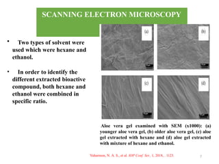 SCANNING ELECTRON MICROSCOPY
7
Aloe vera gel examined with SEM (x1000): (a)
younger aloe vera gel, (b) older aloe vera gel, (c) aloe
gel extracted with hexane and (d) aloe gel extracted
with mixture of hexane and ethanol.
• Two types of solvent were
used which were hexane and
ethanol.
• In order to identify the
different extracted bioactive
compound, both hexane and
ethanol were combined in
specific ratio.
Yuharmon, N. A. S., et al. IOP Conf. Ser., 1, 2018, . 1123.
 