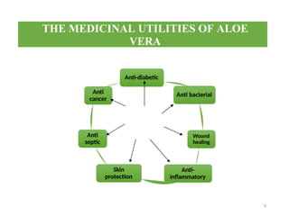 THE MEDICINAL UTILITIES OF ALOE
VERA
Anti-diabetic
Anti bacterial
Wound
healing
Anti-
inflammatory
Skin
protection
Anti
septic
Anti
cancer
9
 