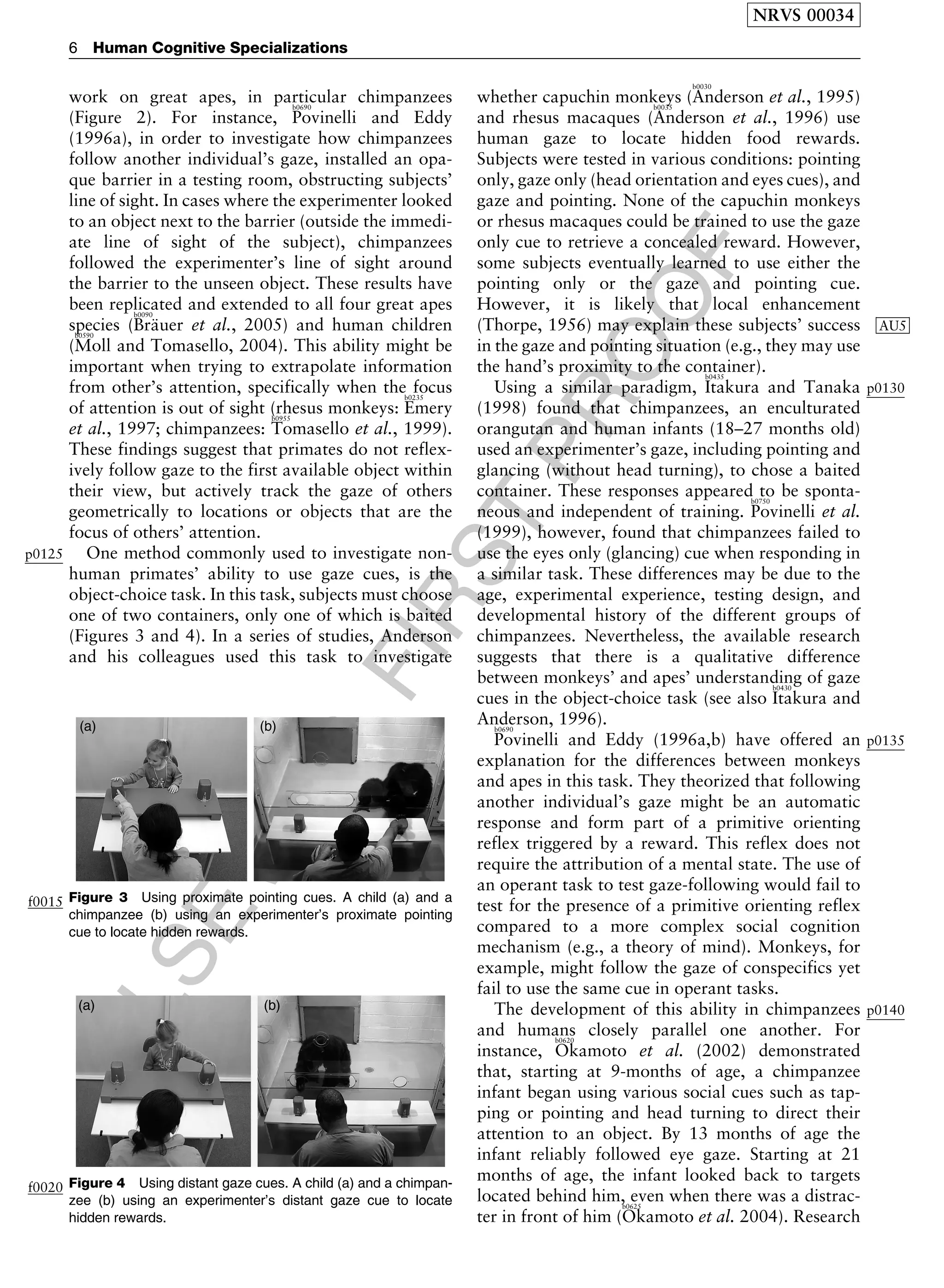 ELSEVIER
FIRST
PROOF
work on great apes, in particular chimpanzees
(Figure 2). For instance,
b0690
Povinelli and Eddy
(1996a), in order to investigate how chimpanzees
follow another individual’s gaze, installed an opa-
que barrier in a testing room, obstructing subjects’
line of sight. In cases where the experimenter looked
to an object next to the barrier (outside the immedi-
ate line of sight of the subject), chimpanzees
followed the experimenter’s line of sight around
the barrier to the unseen object. These results have
been replicated and extended to all four great apes
species (
b0090
Bra¨uer et al., 2005) and human children
(
b0590
Moll and Tomasello, 2004). This ability might be
important when trying to extrapolate information
from other’s attention, specifically when the focus
of attention is out of sight (rhesus monkeys:
b0235
Emery
et al., 1997; chimpanzees:
b0955
Tomasello et al., 1999).
These findings suggest that primates do not reflex-
ively follow gaze to the first available object within
their view, but actively track the gaze of others
geometrically to locations or objects that are the
focus of others’ attention.
p0125 One method commonly used to investigate non-
human primates’ ability to use gaze cues, is the
object-choice task. In this task, subjects must choose
one of two containers, only one of which is baited
(Figures 3 and 4). In a series of studies, Anderson
and his colleagues used this task to investigate
whether capuchin monkeys (
b0030
Anderson et al., 1995)
and rhesus macaques (
b0035
Anderson et al., 1996) use
human gaze to locate hidden food rewards.
Subjects were tested in various conditions: pointing
only, gaze only (head orientation and eyes cues), and
gaze and pointing. None of the capuchin monkeys
or rhesus macaques could be trained to use the gaze
only cue to retrieve a concealed reward. However,
some subjects eventually learned to use either the
pointing only or the gaze and pointing cue.
However, it is likely that local enhancement
(Thorpe, 1956) may explain these subjects’ success AU5
in the gaze and pointing situation (e.g., they may use
the hand’s proximity to the container).
p0130Using a similar paradigm,
b0435
Itakura and Tanaka
(1998) found that chimpanzees, an enculturated
orangutan and human infants (18–27 months old)
used an experimenter’s gaze, including pointing and
glancing (without head turning), to chose a baited
container. These responses appeared to be sponta-
neous and independent of training.
b0750
Povinelli et al.
(1999), however, found that chimpanzees failed to
use the eyes only (glancing) cue when responding in
a similar task. These differences may be due to the
age, experimental experience, testing design, and
developmental history of the different groups of
chimpanzees. Nevertheless, the available research
suggests that there is a qualitative difference
between monkeys’ and apes’ understanding of gaze
cues in the object-choice task (see also
b0430
Itakura and
Anderson, 1996).
p0135
b0690
Povinelli and Eddy (1996a,b) have offered an
explanation for the differences between monkeys
and apes in this task. They theorized that following
another individual’s gaze might be an automatic
response and form part of a primitive orienting
reflex triggered by a reward. This reflex does not
require the attribution of a mental state. The use of
an operant task to test gaze-following would fail to
test for the presence of a primitive orienting reflex
compared to a more complex social cognition
mechanism (e.g., a theory of mind). Monkeys, for
example, might follow the gaze of conspecifics yet
fail to use the same cue in operant tasks.
p0140The development of this ability in chimpanzees
and humans closely parallel one another. For
instance,
b0620
Okamoto et al. (2002) demonstrated
that, starting at 9-months of age, a chimpanzee
infant began using various social cues such as tap-
ping or pointing and head turning to direct their
attention to an object. By 13 months of age the
infant reliably followed eye gaze. Starting at 21
months of age, the infant looked back to targets
located behind him, even when there was a distrac-
ter in front of him (
b0625
Okamoto et al. 2004). Research
f0015 Figure 3 Using proximate pointing cues. A child (a) and a
chimpanzee (b) using an experimenter’s proximate pointing
cue to locate hidden rewards.
f0020 Figure 4 Using distant gaze cues. A child (a) and a chimpan-
zee (b) using an experimenter’s distant gaze cue to locate
hidden rewards.
NRVS 00034
6 Human Cognitive Specializations
 