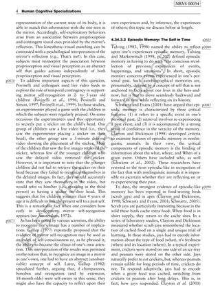 ELSEVIER
FIRST
PROOF
representation of the current state of its body, it is
able to match this information with the one seen in
the mirror. Accordingly, self-exploratory behaviors
arise from an association between proprioception
and contingent visual cues provided by the mirror’s
reflection. This kinesthetic–visual matching can be
contrasted with a psychological interpretation of the
mirror’s reflection (e.g., That’s me!). In this case,
subjects must reinterpret the association between
proprioception and visual perception as an abstract
self that guides actions independently of both
proprioception and visual perception.
p0070 To address important aspects of this question,
Povinelli and colleagues used live video feeds to
explore the role of temporal contingency in support-
ing mirror self-recognition in 2- to 5-year old
children (
b0735
Povinelli et al., 1996;
b0720
Povinelli and
Simon, 1997;
b0750
Povinelli et al., 1999). In those studies,
an experimenter played a game with the children in
which the subjects were regularly praised. On some
occasions the experimenters used this opportunity
to secretly put a sticker on the child’s head. One
group of children saw a live video feed (i.e., they
saw the experimenter placing a sticker on their
head), the other group saw a 3-minute delayed
video showing the placement of the sticker. Most
of the children that saw the live images retrieved the
sticker, whereas few of the younger children who
saw the delayed video retrieved the sticker.
However, it is important to note that the younger
children did not fail to retrieve the sticker on their
head because they failed to recognize themselves in
the delayed images. In fact, they would accurately
state that they saw themselves in the video, but
would refer to him/her (i.e., speaking in the third
person) as having a sticker on their head. This
suggests that for children younger than 4 years of
age it is difficult to link the present self to a past self.
This is a remarkable fact when one considers how
early in development mirror self-recognition
appears (see
b0020
Amsterdam, 1972).
p0075 As has been noted by various scientists, the ability
to recognize one’s image has a number of implica-
tions.
b0255
Gallup (1977) repeatedly proposed that the
evidence of mirror self-recognition may be used as
an index of self-consciousness or, as he phrased it,
the ability to become the object of one’s own atten-
tion. This interpretation of the results was premised
on the notion that, to recognize an image in a mirror
as one’s own, one had to have an abstract (unobser-
vable) concept of self. Later,
b0260
Gallup (1982)
speculated further, arguing that, if chimpanzees,
bonobos and orangutans (and by extension,
18-month-olds) were self-aware in this sense, they
might also have the capacity to reflect upon their
own experiences and, by inference, the experiences
of others; this topic we discuss below at length.
s00254.34.3.2 Episodic Memory: The Self in Time
p0080
b0970
Tulving (1983,
b0980
1998) named the ability to reflect
upon one’s experiences episodic memory.
b0980
Tulving
and Markowitsch (1998, p. 202) defined episodic
memory as having to do with ‘‘the conscious recol-
lection of previous experiences of events,
happenings, and situations’’. In short, episodic
memory concerns events experienced in one’s per-
sonal past. Such autobiographical memories are,
presumably, defined by a concept of self that is not
anchored to facts about our lives in the here-and-
now, but is free to move seamlessly backward and
forward in time while reflecting on its history.
p0085
b0835
Schwartz and Evans (2001) have argued that epi-
sodic memory is characterized by three critical
features: (1) it refers to a specific event in one’s
personal past; (2) retrieval involves re-experiencing
a past event; and (3) it is accompanied by a strong
sense of confidence in the veracity of the memory.b0180
Clayton and Dickinson (1998) developed criteria
to examine features of episodic memory in nonlin-
guistic animals. In their view, the critical
components of episodic memory is the binding of
information about the what, where, and When of a
given event. Others have included who, as well
(
b0840
Schwartz et al., 2002). These researchers have
resorted to the term episodic-like in recognition of
the fact that with nonlinguistic animals it is impos-
sible to ascertain whether they are reflecting on or
re-experiencing their past.
p0090To date, the strongest evidence of episodic-like
memory has been reported in food-storing birds
(scrub jays) and in apes (
b0180
Clayton and Dickinson,
1998;
b0835
Schwartz and Evans, 2001;
b0825
Schwartz, 2005).
Scrub jays are particularly interesting because in the
wild these birds cache extra food. When food is in
short supply, they return to the cache sites. In a
series of laboratory studies, Clayton and Dickinson
measured whether scrub jays remembered the loca-
tion of cached food on a single and unique trial of
learning. In these studies, jays had to encode infor-
mation about the type of food (what), it’s freshness
(when) and its location (where). In a typical experi-
ment, crickets were stored on one side of an ice tray
and peanuts were stored on the other side. Jays
naturally prefer to eat crickets, but, whereas peanuts
remain edible for long periods of time, crickets do
not. To respond adaptively, jays had to encode
when a given food was cached, switching from
crickets to peanuts after long delays. This is, in
fact, how jays responded.
b0185
Clayton et al. (2001)
NRVS 00034
4 Human Cognitive Specializations
 