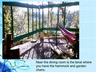 Near the dining room is the lanai where you have the hammock and garden chairs. 