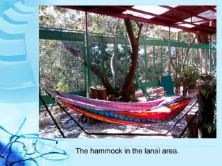 The hammock in the lanai area. 