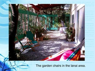 The garden chairs in the lanai area. 