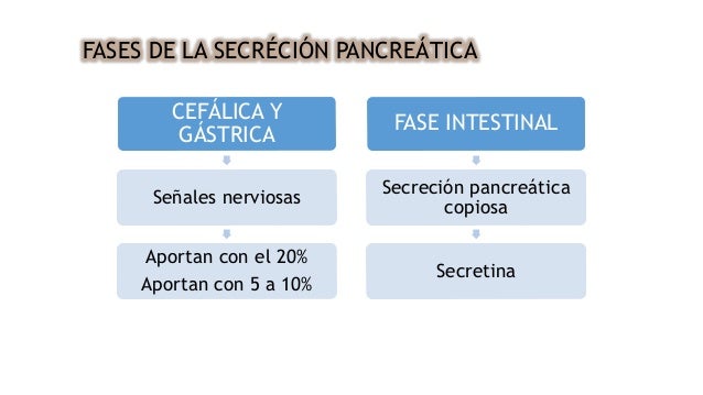 SECRECIONES DIGESTIVAS SECRECIONES DIGESTIVAS