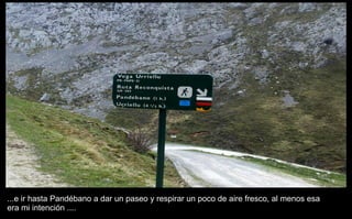...e ir hasta Pandébano a dar un paseo y respirar un poco de aire fresco, al menos esa  era mi intención .... 