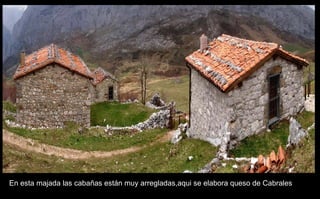 En esta majada las cabañas están muy arregladas,aqui se elabora queso de Cabrales 